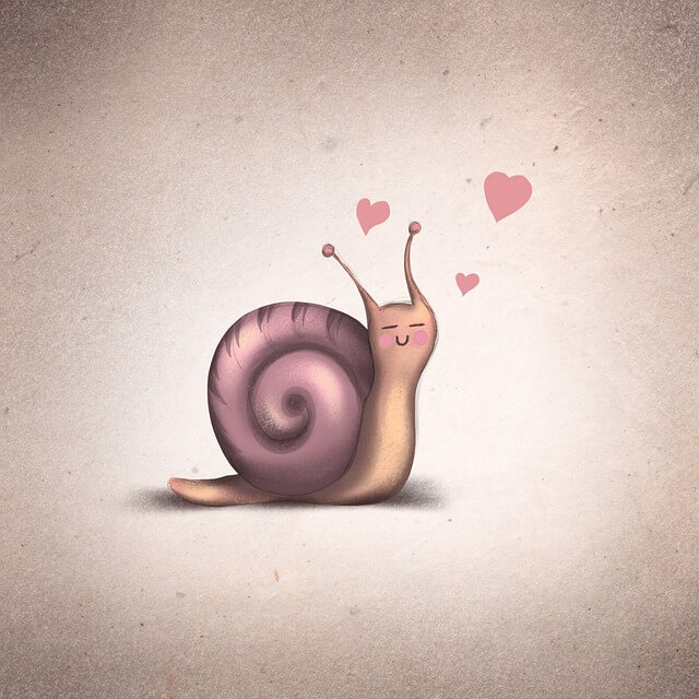Dream about snails