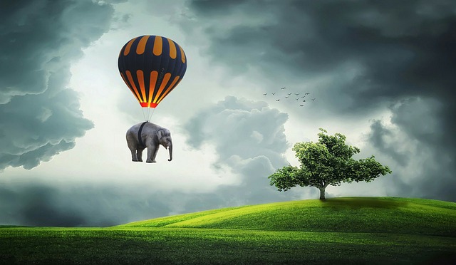 Dream about flying elephant