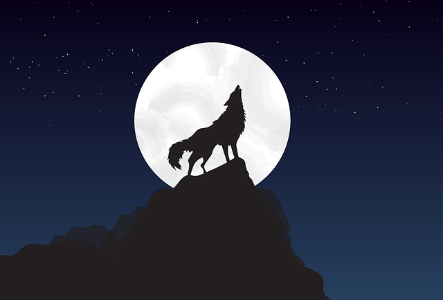 Wolf in dream